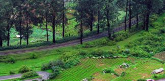 Bangalore προς Bandipur προς Ooty και Coonoor Ινδία