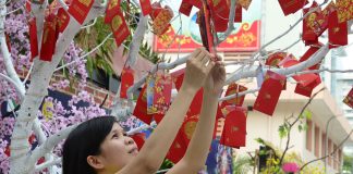Φεστιβάλ Τετ, Βιετναμέζικο νέο έτος